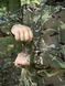 Куртка soffshell multicam RISEN 01597-56 фото 8
